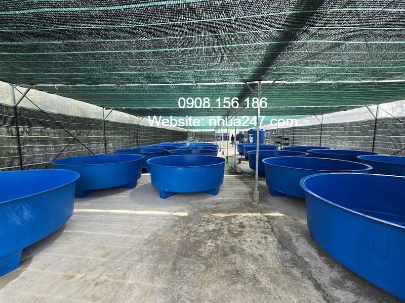 bể cá Composite lắp đặt tận nơi